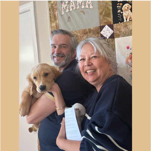 True Love Rescue – a Golden Retriever Rescue – Morgan Hill, California