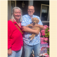 True Love Rescue – a Golden Retriever Rescue – Grover Beach, California
