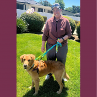 True Love Rescue – a Golden Retriever Rescue – San Leandro, California