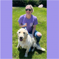 True Love Rescue – a Golden Retriever Rescue – Walnut Creek, California