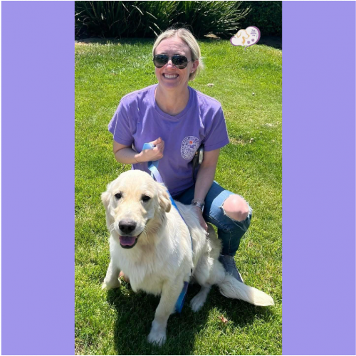 True Love Rescue – a Golden Retriever Rescue – Walnut Creek, California