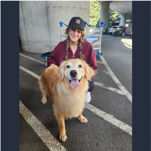 True Love Rescue – a Golden Retriever Rescue – Elk Grove, California
