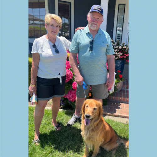 True Love Rescue – a Golden Retriever Rescue – Santa Rosa, California