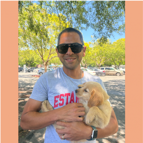 True Love Rescue – a Golden Retriever Rescue – Walnut Creek, California
