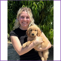 True Love Rescue – a Golden Retriever Rescue – Sebastopol, California