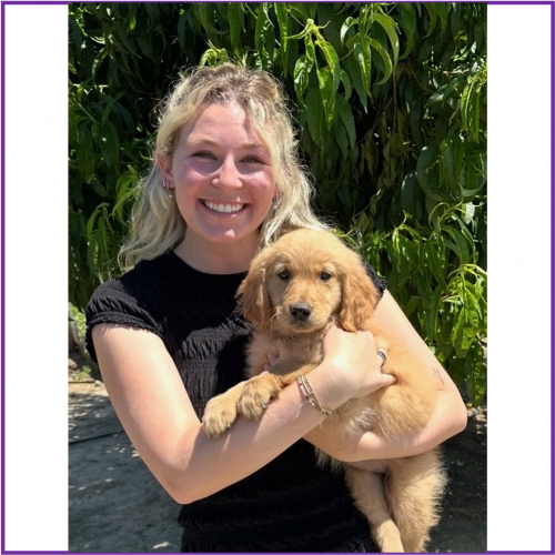 True Love Rescue – a Golden Retriever Rescue – Sebastopol, California