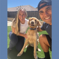 True Love Rescue – a Golden Retriever Rescue – Folsom, California