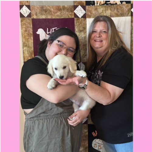True Love Rescue – a Golden Retriever Rescue – Lancaster, California