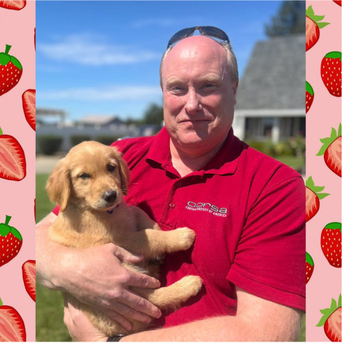 True Love Rescue – a Golden Retriever Rescue – Minden, Nevada