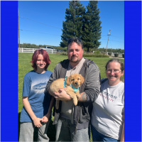 True Love Rescue – a Golden Retriever Rescue – Pinole, California