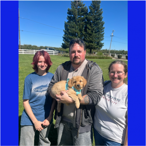 True Love Rescue – a Golden Retriever Rescue – Pinole, California