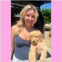 True Love Rescue – a Golden Retriever Rescue – Turlock, California