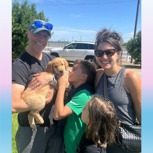 True Love Rescue – a Golden Retriever Rescue – Lafayette, California