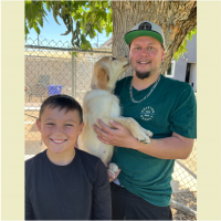 True Love Rescue – a Golden Retriever Rescue – Concord, California