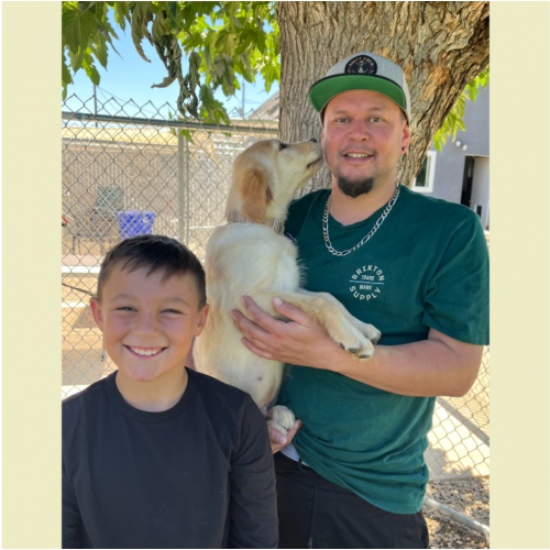 True Love Rescue – a Golden Retriever Rescue – Concord, California