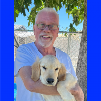 True Love Rescue – a Golden Retriever Rescue – Tollhouse, California