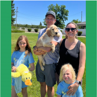 True Love Rescue – a Golden Retriever Rescue – Moss Beach, California