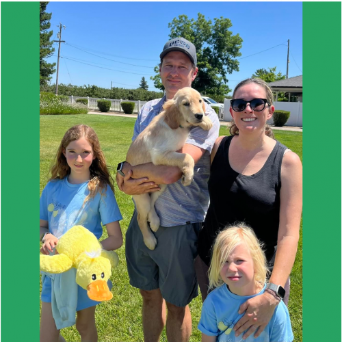 True Love Rescue – a Golden Retriever Rescue – Moss Beach, California