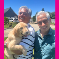 True Love Rescue – a Golden Retriever Rescue – Walnut Creek, California