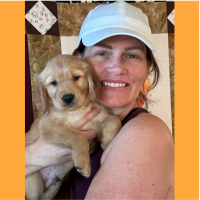 True Love Rescue – a Golden Retriever Rescue – Lodi, California
