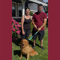 True Love Rescue – a Golden Retriever Rescue – Galt, California
