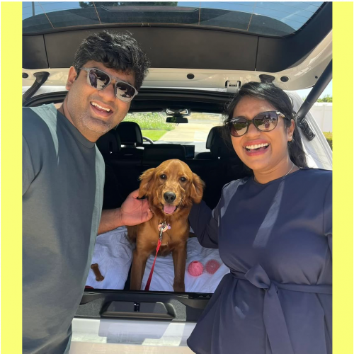 True Love Rescue – a Golden Retriever Rescue – Grover Beach, California