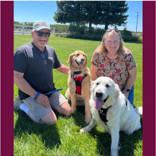 True Love Rescue – a Golden Retriever Rescue – Battle Ground, Washinggton