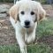 Murphy