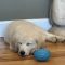 Murphy