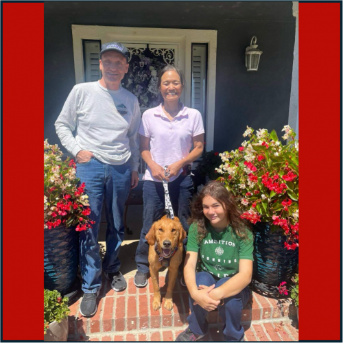 True Love Rescue – a Golden Retriever Rescue – Milpitas, California