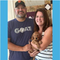 True Love Rescue – a Golden Retriever Rescue – Sacramento, California