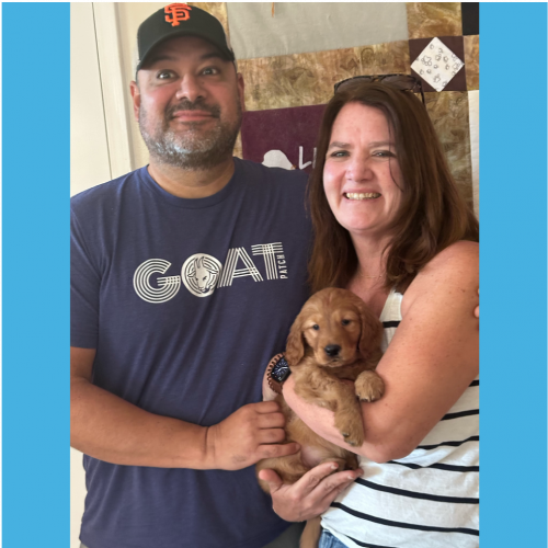 True Love Rescue – a Golden Retriever Rescue – Sacramento, California