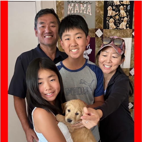 True Love Rescue – a Golden Retriever Rescue – Clayton, California
