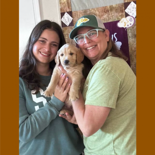 True Love Rescue – a Golden Retriever Rescue – Sunnyvale, California