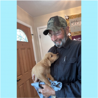True Love Rescue – a Golden Retriever Rescue – Grover Beach, California