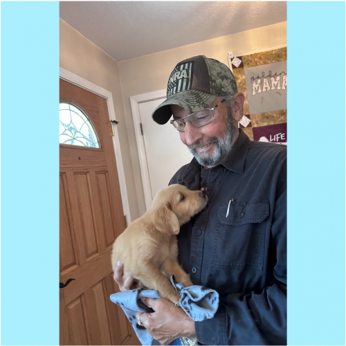 True Love Rescue – a Golden Retriever Rescue – Grover Beach, California