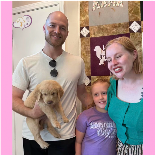 True Love Rescue – a Golden Retriever Rescue – Folsom, California