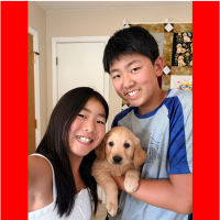 True Love Rescue – a Golden Retriever Rescue – Clayton, California