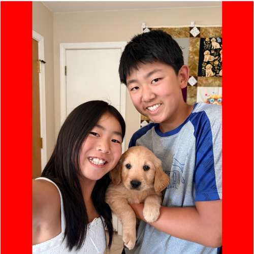True Love Rescue – a Golden Retriever Rescue – Clayton, California
