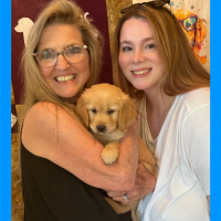 True Love Rescue – a Golden Retriever Rescue – Napa, California