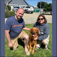 True Love Rescue – a Golden Retriever Rescue – Fairfield, California