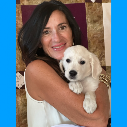 True Love Rescue – a Golden Retriever Rescue – Sacramento, California