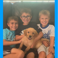 True Love Rescue – a Golden Retriever Rescue – Vacaville, California