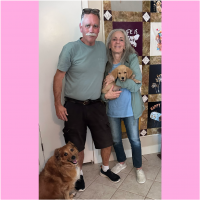 True Love Rescue – a Golden Retriever Rescue – Petaluma, California