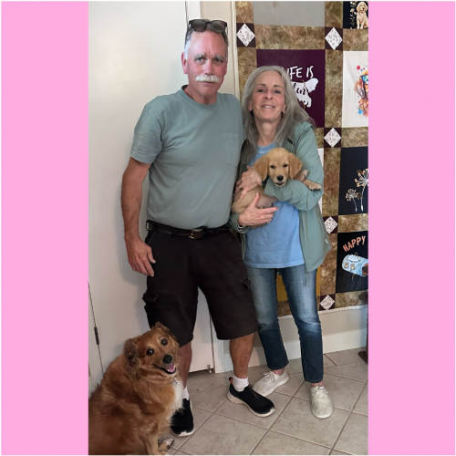 True Love Rescue – a Golden Retriever Rescue – Petaluma, California
