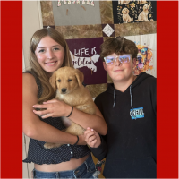 True Love Rescue – a Golden Retriever Rescue – Atascadero, California