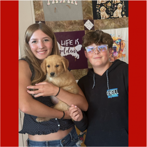 True Love Rescue – a Golden Retriever Rescue – Atascadero, California