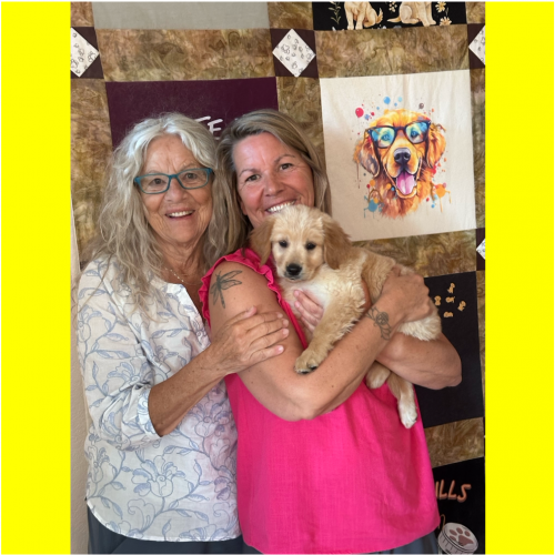 True Love Rescue – a Golden Retriever Rescue – Cambria, California