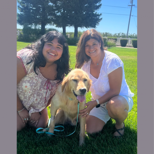 True Love Rescue – a Golden Retriever Rescue – Morgan Hill, California