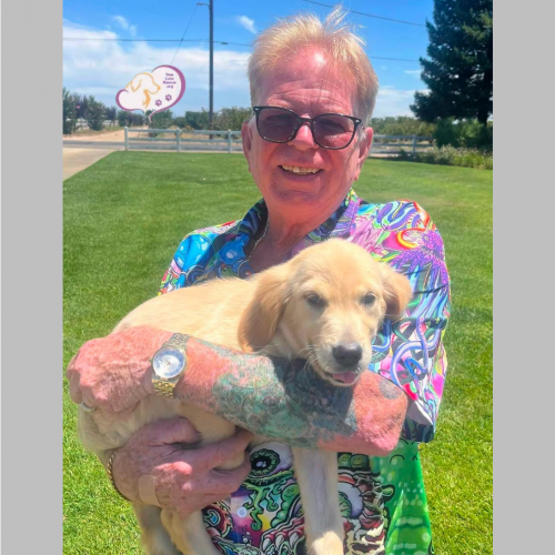 True Love Rescue – a Golden Retriever Rescue – Penn Valley, California